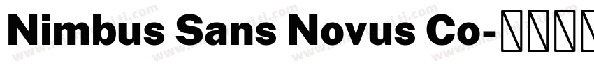 Nimbus Sans Novus Co字体转换